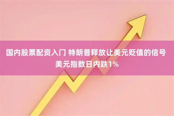 国内股票配资入门 特朗普释放让美元贬值的信号 美元指数日内跌1%
